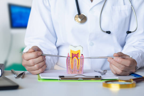 Best Emergency Treatment for Toothache in Amery, WI